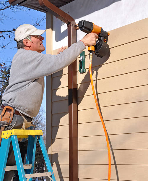 Best Siding Repair  in Wlowbrook, IL